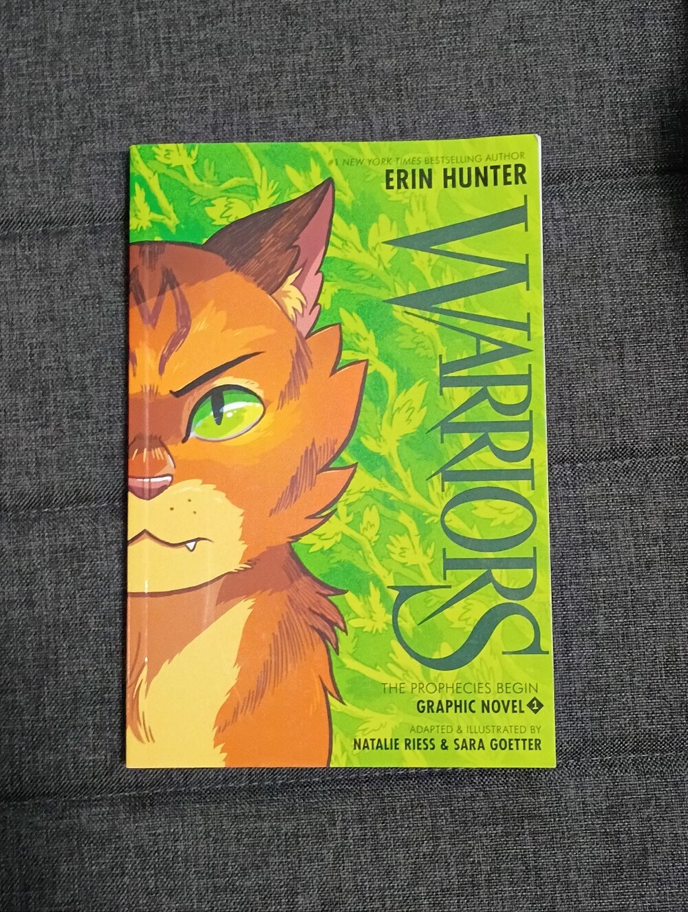 **2/$20 SALE - Warriors: The Prophecies Begin Graphic Novel